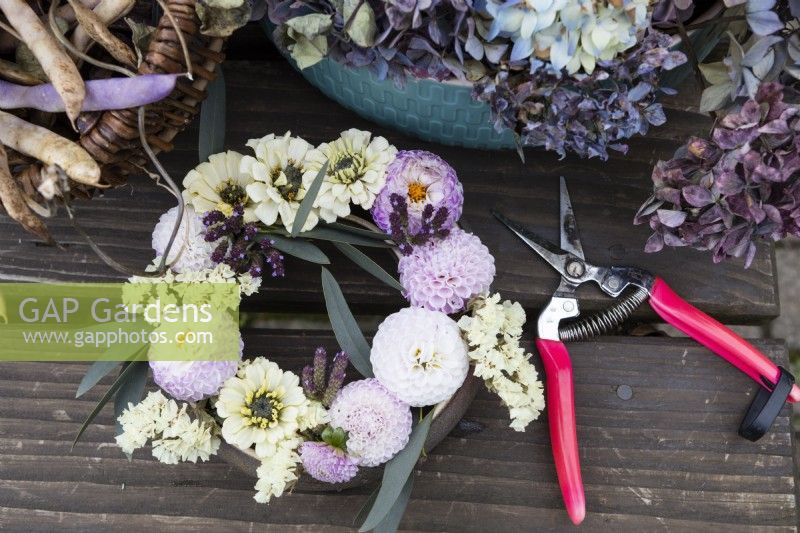 A posy ring is filled with dahlias, zinnias, eucalyptus, verbena and statice. Foam free arrangement. A pair of pink secateurs is beside the posy arrangement. Autumn.