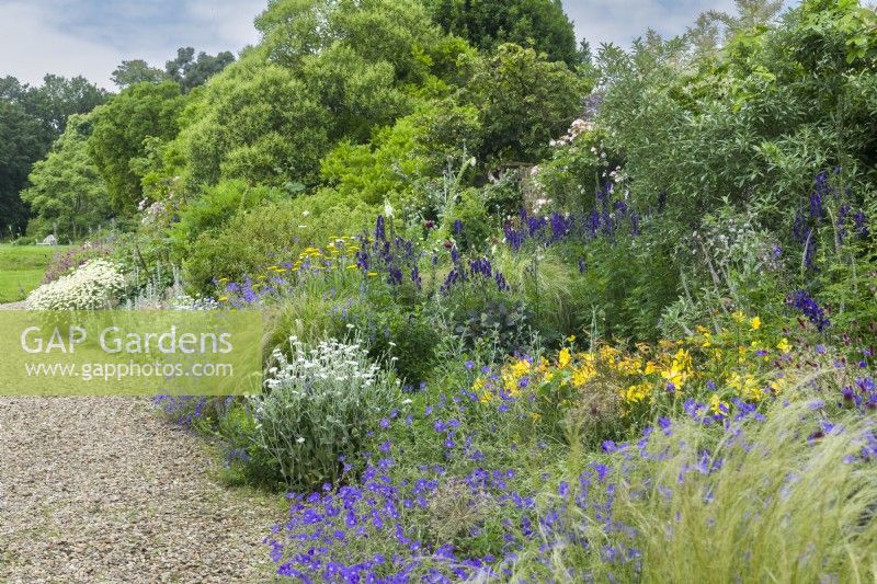 Wide colour themed herbaceous border next to gravel path with Lychnis, geraniums, grasses, achilleas, aconitums, hemerocallis. July