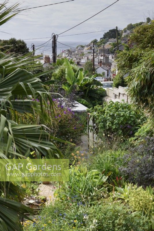 View from a house in a Cornish fishing village with a garden full of exotic plants, benefitting from the mild seaside climate.