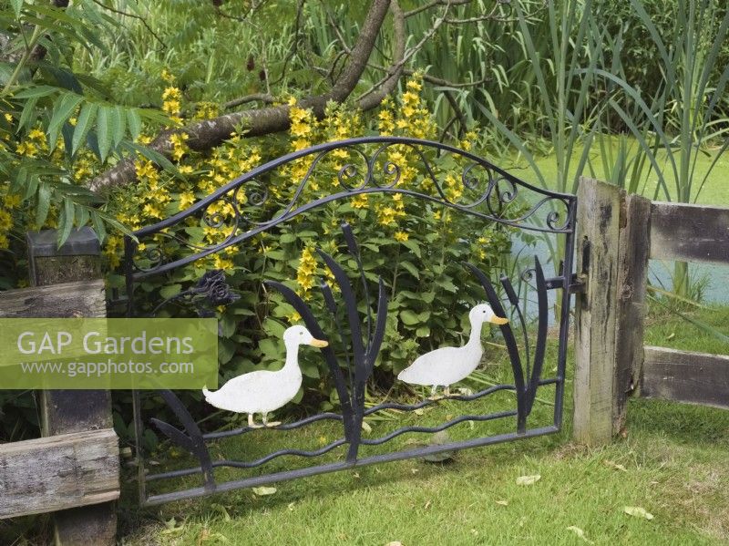 Ornamental garden gate with white painted ducks