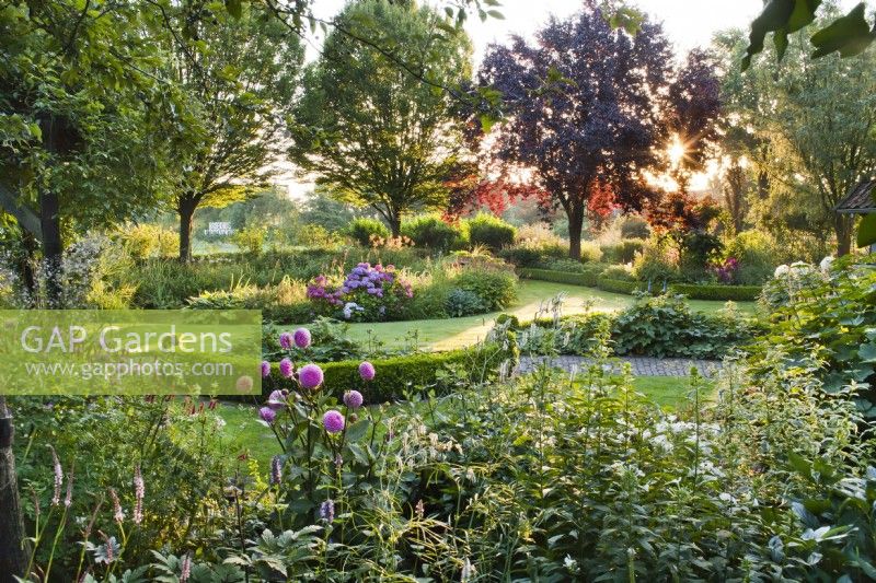 View of the garden with island beds and borders of mixed herbaceous perennials.