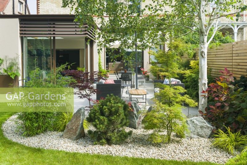 View of a Japanese inspired garden surrounding an outdoor living space next to a contemporary house extension. Bamboo, Japanese Maples, dwarf pine tree, cotinus, rocks, stone chippings and birch tree. July