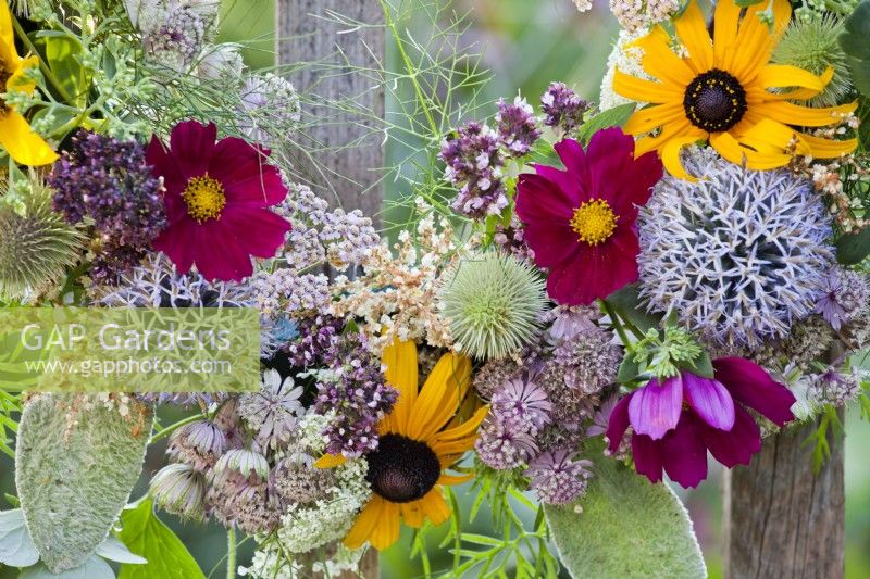 Detail of summer flower wreath containing Rudbeckia, Echinops, Cosmos, Astranthia and Hellianthus.