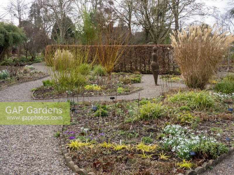 The winding paths of the garden provides interest and a constantly changing perspective.  By leaving the grass untrimmed and the taller Cornus sanguinea adds structure and further interest