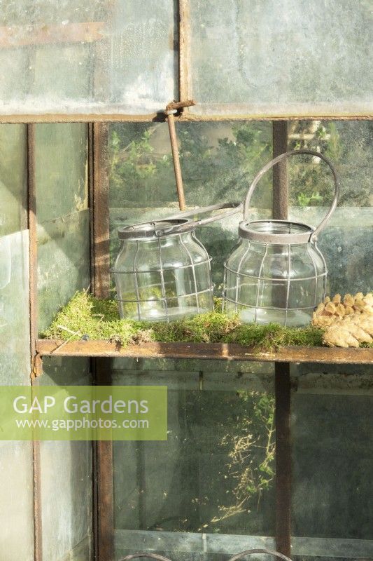 Two decorative pots in moss in small rustic greenhouse.