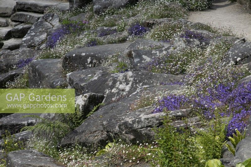 Paxton's Rock garden at Chatsworth - June 