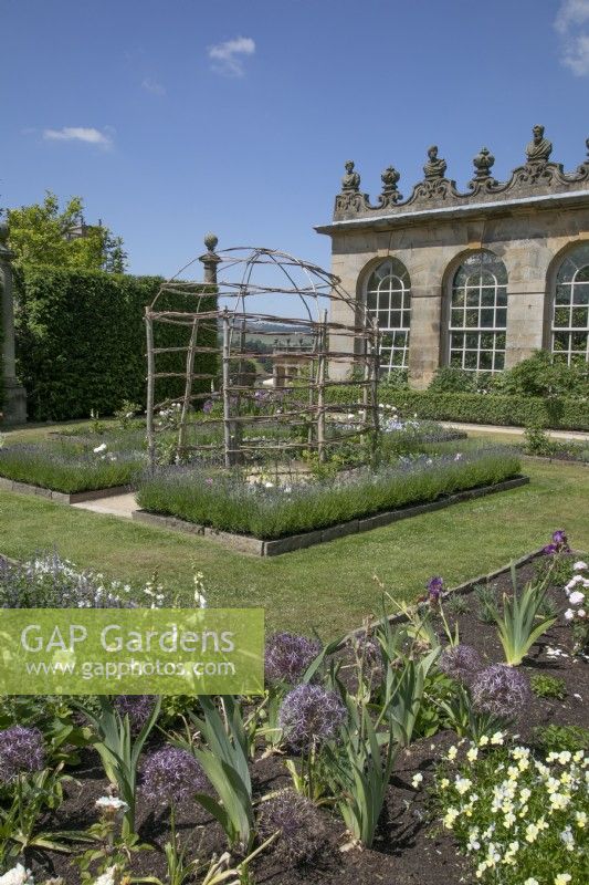 Willow obelisks for Lathyrus latifolius - sweet peas - in front of The First Duke's House and garden at Chatsworth House, Derbyshire
