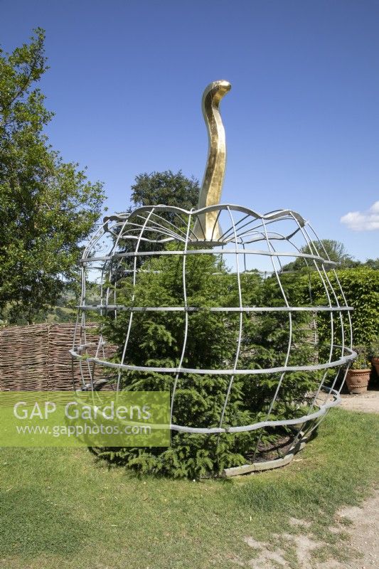 Apple topiary framework at Chatsworth - June 