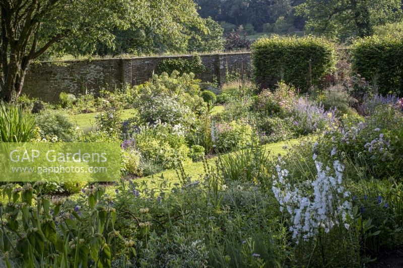 Long central summer borders filled with mixed perennials in a walled kitchen garden
