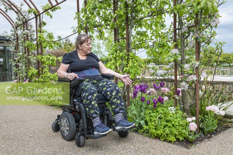 Patient in wheelchair under the rusted steel archway.

Plants include: trained apple trees in blossom with tulips 'Angelique' and 'Recreado'.

Horatio's Garden South West - Salisbury
The Duke of Cornwall Spinal Treatment Centre
