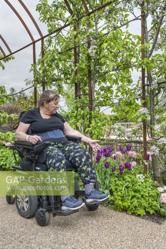 Patient in wheelchair under the rusted steel archway.

Plants include: trained apple trees in blossom with tulips 'Angelique' and 'Recreado'.

Horatio's Garden South West - Salisbury
The Duke of Cornwall Spinal Treatment Centre