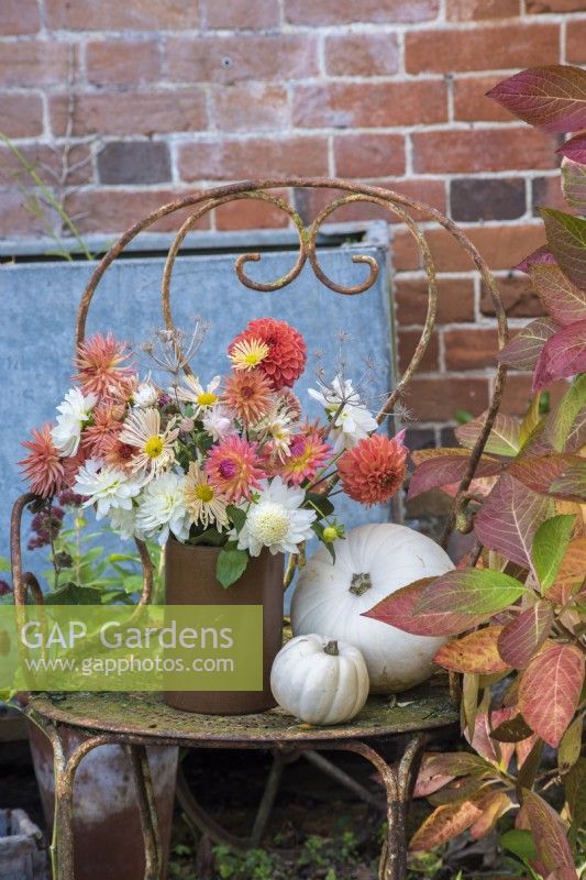 Bouquet of white and orange  Dahlias and Chrysanthemums in pottery vase on rusty metal chair with squashes