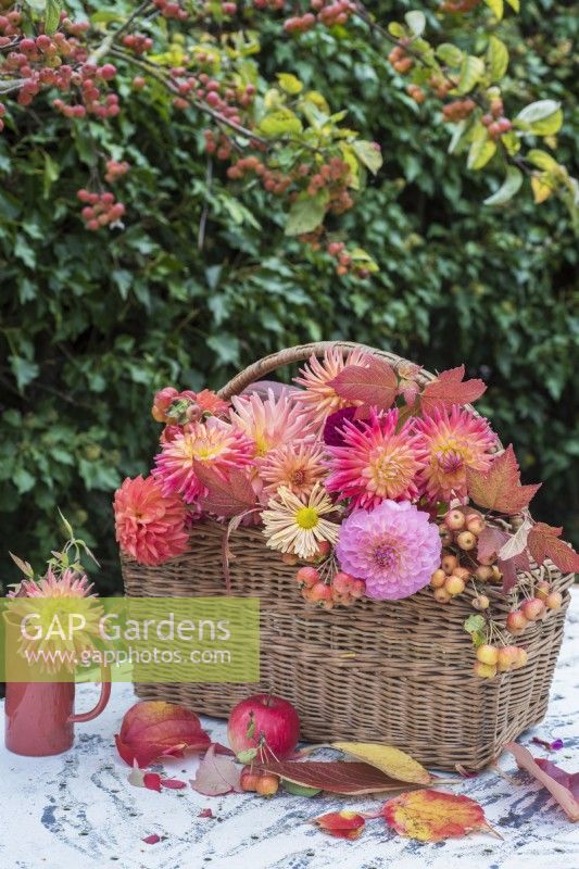 Wicker basket and small vase of Dahlias, Chrysanthemums, Autumn leaves and crab apples displayed on white metal table