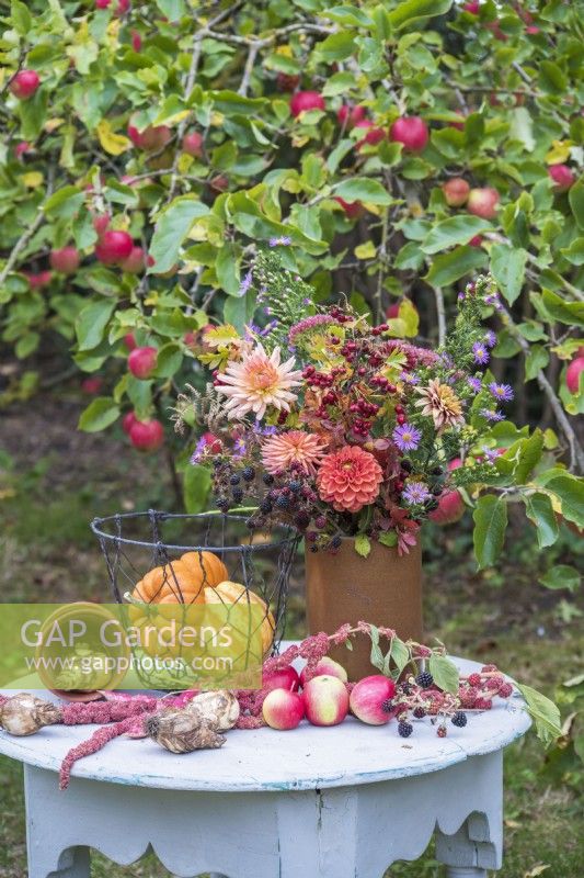 Autumn bouquet of flowers arranged in pottery vase on grey table in orchard - Dahlias, Asters, Sedum, blackberries and Hawthorn - with squashes, apples, bulbs and Amaranthus