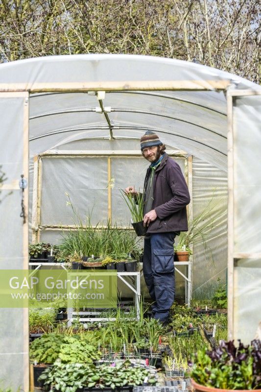 Man working in the Polytunnel