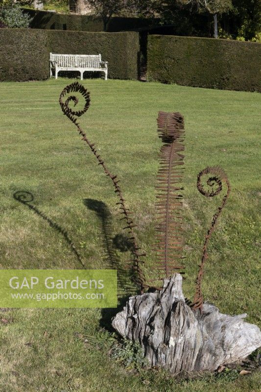A weathered metal sculpture resembling fern leaves is mounted in an old weathered tree stump. A large lawn is behind with a weathered wooden bench and formal box clipped hedging. Regency House, Devon NGS garden. Autumn