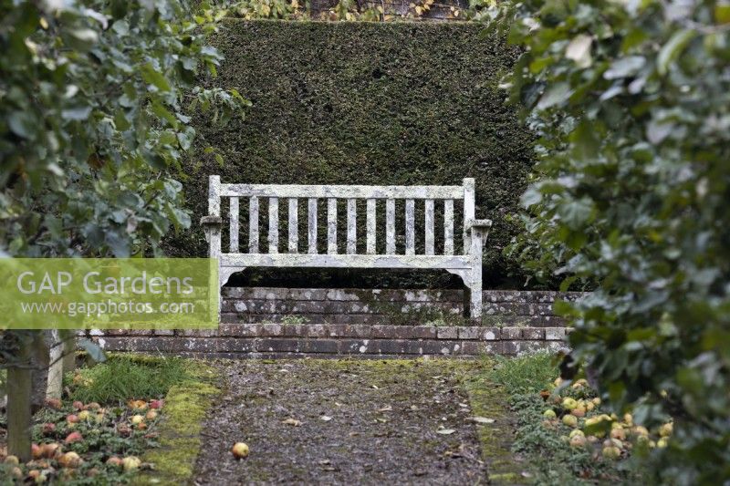 An old, weathered, wooden bench sits on top of a red brick plinth at the top of a gravel path, as a focal point. Regency House, Devon NGS garden. Autumn