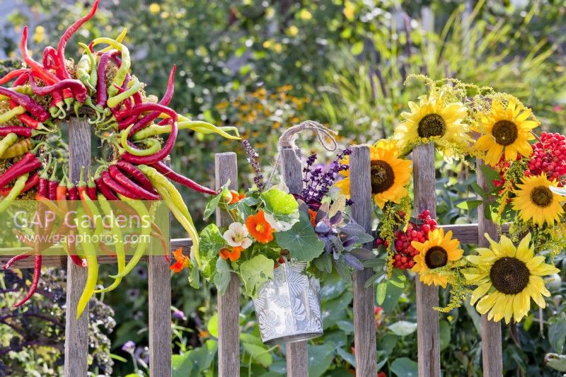 Late summer decoration with wreath made of peppers, bunch of nasturtium and herbs in hanging pot and wreath made of sunflowers and rowan berries.