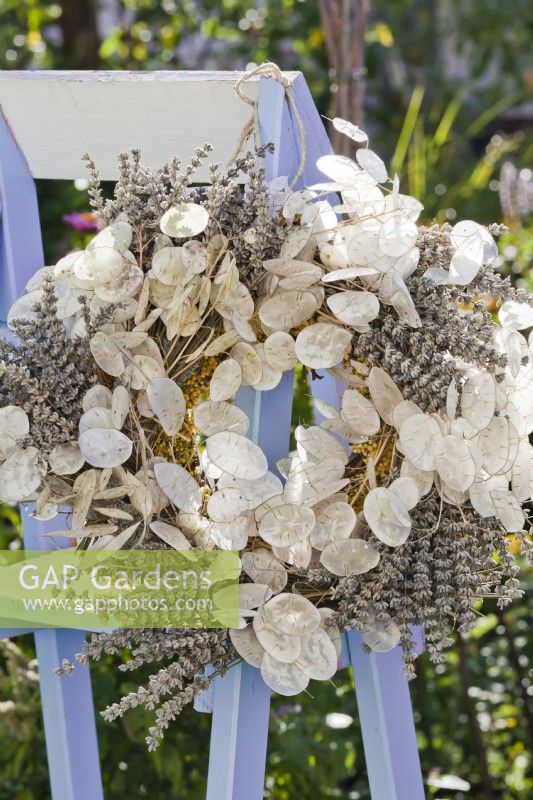 Wreath made of lavender and honesty seed heads.