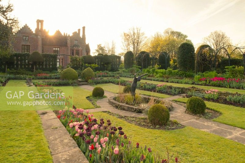Sunrise over Chenies Manor and the sunken garden planted with multi-coloured Tulipa around scultpure.