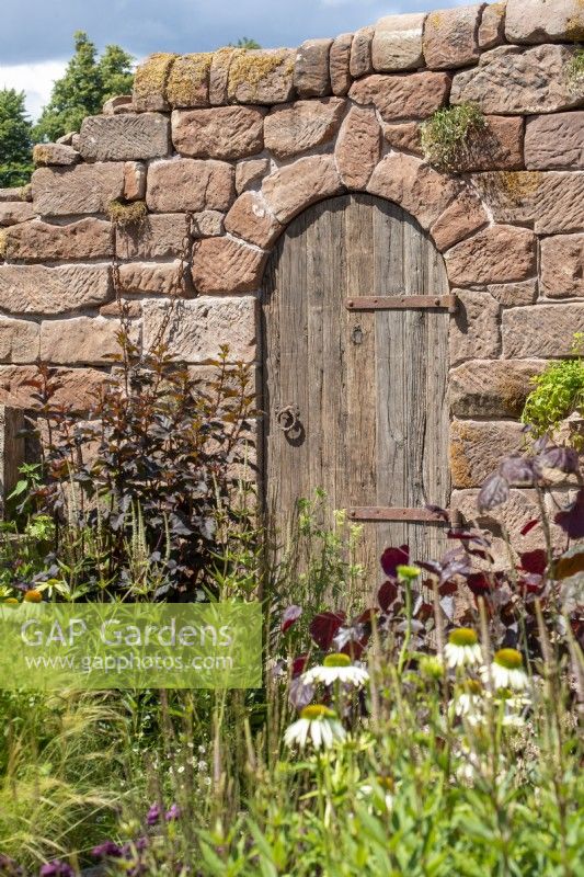 Old wooden gate in a stone wall - The Blue Diamond Group Beautiful Abandonment Garden, RHS Hampton Court Palace Garden Festival 2022