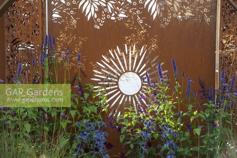 Decorative Corten steel panel used as backdrop for planting of Agastache 'Black Adder', Salvia 'Amistad' and Stipa gigantea - The Sunburst Garden - RHS Hampton Court Garden Festival 2022