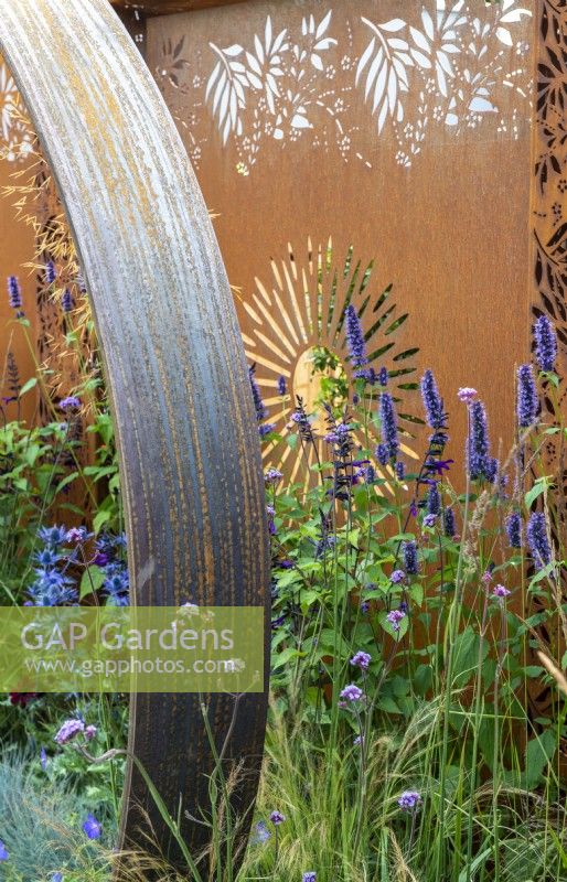 Colourful planting against a backdrop of Corten steel panelling, including Agastache 'Black Adder', Verbena bonariensis' and Eryngium - Sunburst Garden  - RHS Hampton Court Flower Festival 2022