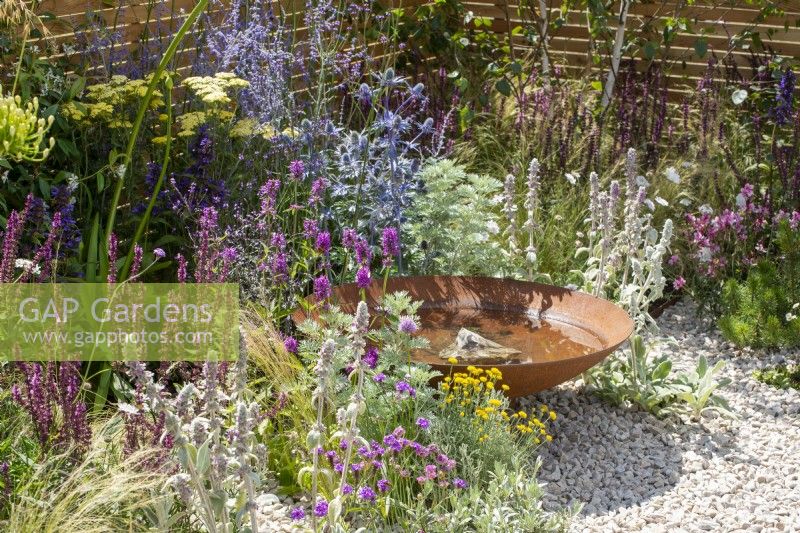 Gravel planting around a Corten steel water bowl - Turfed Out Garden, RHS Hampton Court Palace Garden Festival 2022