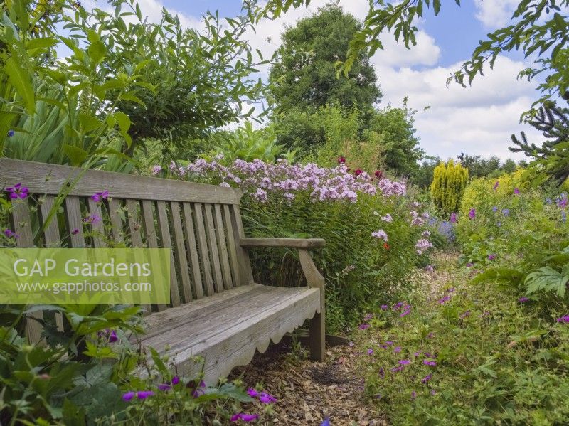 Garden seating area with Phlox paniculata