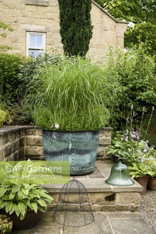 Large copper container planted with Miscanthus sinensis 'Gracillimus' at Cow Close Cottage garden in July
