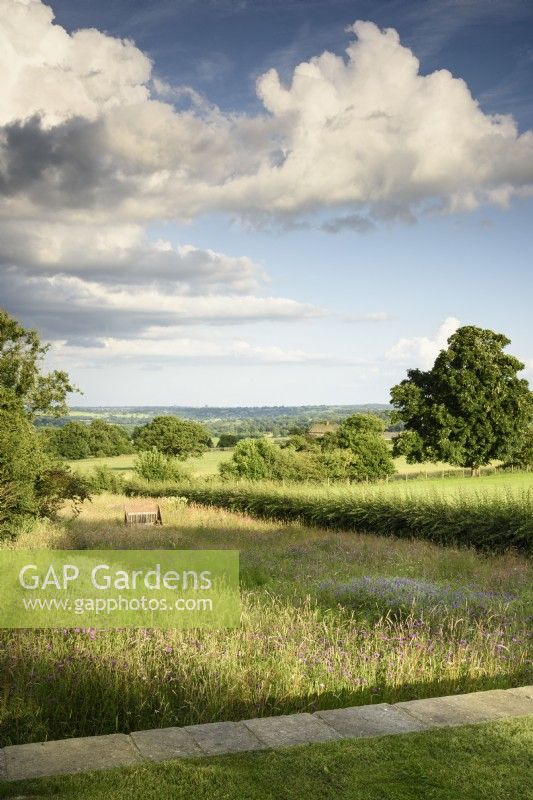 View across the wild flower meadow at Cow Close Cottage, North Yorkshire in July with surrounding landscape beyond