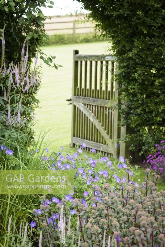 Gate from the ornamental garden into adjoining field, with Geranium Rozanne and Hylotelephium 'Red Cauli' in the foreground at Cow Close Cottage, North Yorkshire in July