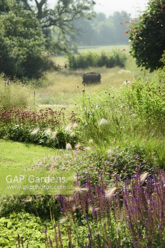 Borders at Cow Close Cottage, North Yorkshire in July planted with pinks and purples including herbaceous perennials and grasses with wildflower meadow beyond.