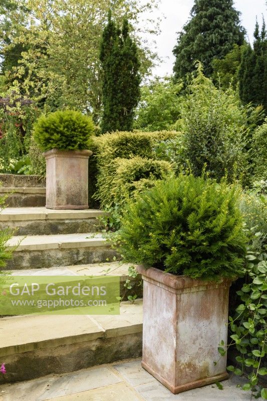 Yew balls in terracotta containers frame a flight of steps in a July garden
