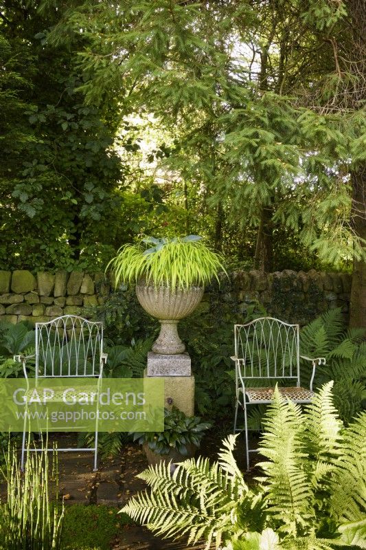 Urn planted with Hakonechloa macra 'All Gold' framed by a pair of metal seats at Cow Close Cottage, North Yorkshire in July