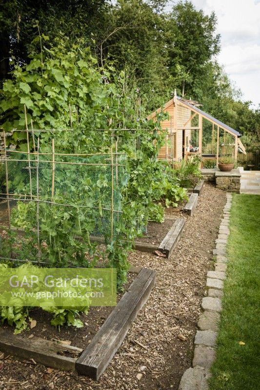 Vegetable growing area with raised beds edged with sleepers at Cow Close Cottage, North Yorkshire in July
