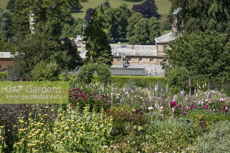 The Kitchen and Cutting Garden at Chatsworth - June 