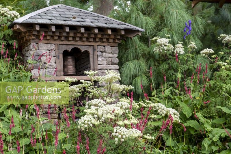 Stone building with slate roof containing water-driven prayer wheel, surrounded by planting of Pinus wallachiana, Persicaria amplexicaulis and Selinum wallichianum - The Trailfinders 50th Anniversary Garden, RHS Chelsea Flower Show 2021