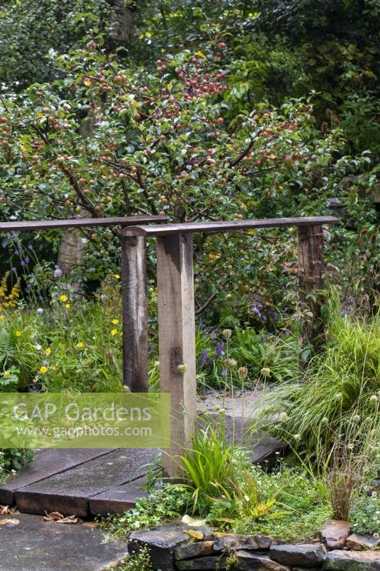 Wooden bridge over a stream with crab apple trees beyond - Guide Dogs 90th Anniversary Garden, RHS Chelsea Flower Show 2021