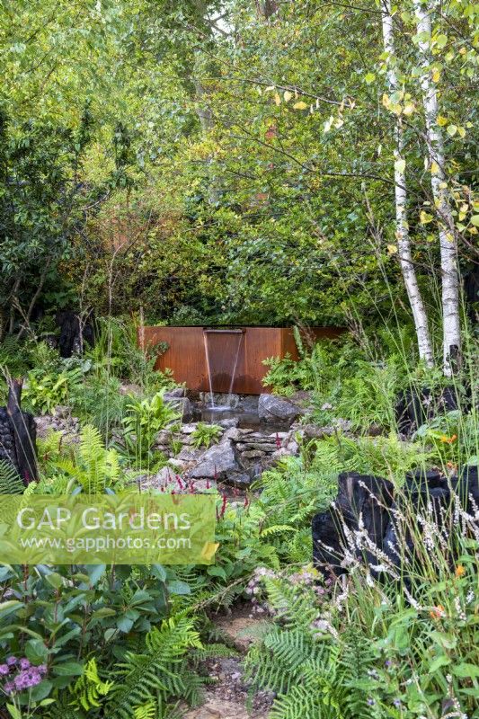 Water flowing from a rusted metal water tank into a natural pond surrounded by ferns, betula and Persicaria - The Yeo Valley Organic Garden, RHS Chelsea Flower Show 2021