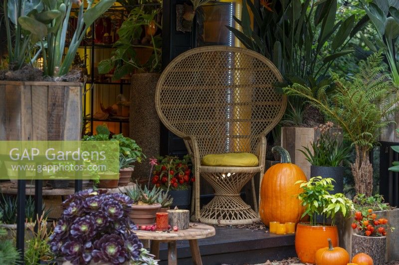 Wicker chair surrounded by an Autumn arrangement with pumpkins and candles