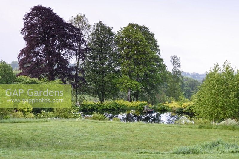 Country garden with grassy slope leading down to a lake in May