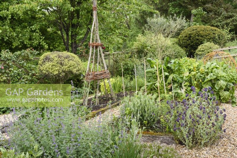 Kitchen garden with herbs in raised beds and plant supports made from willow and hazel.