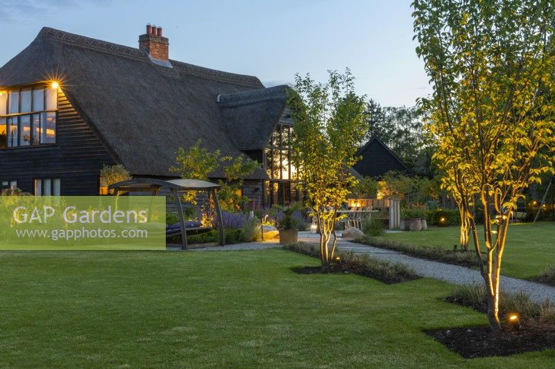 Uplighters are directed into Prunus sargentii beside a path leading to a  swingseat and contemporary terrace edged in perennials, outside a converted barn.