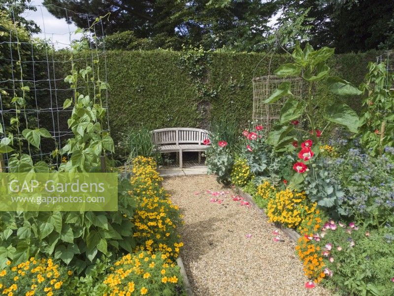 Vegetable garden edged with marigolds and poppies