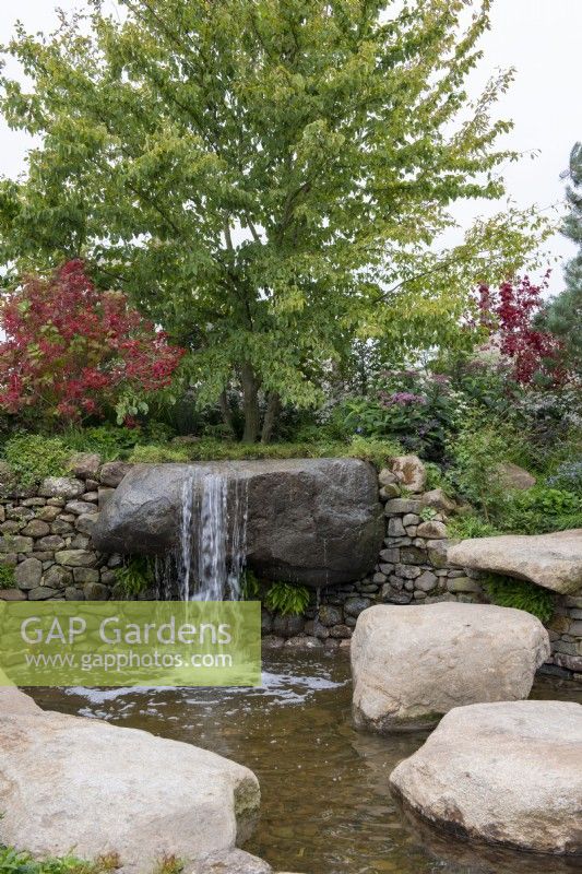 Natural waterfall over a large stone boulder into a pool, bright orange leaves and fruits of Viburnum opulus behind - Bible Society: The Psalm 23 Garden, RHS Chelsea Flower Show 2021