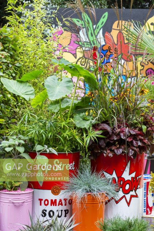 Plants in colourful containers with mural behind - Pop Street Garden, RHS Chelsea Flower Show 2021