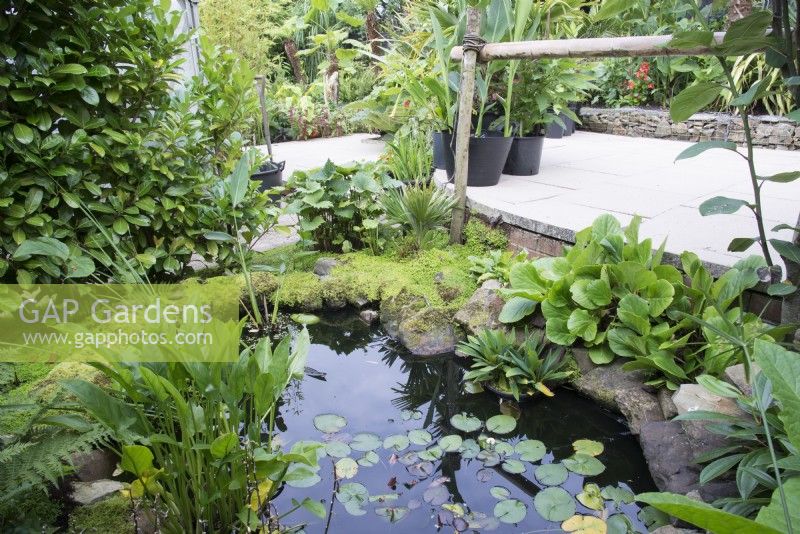 Tropical garden in August with pond