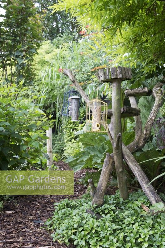 Feeders on wooden supports in corner of lush tropical garden