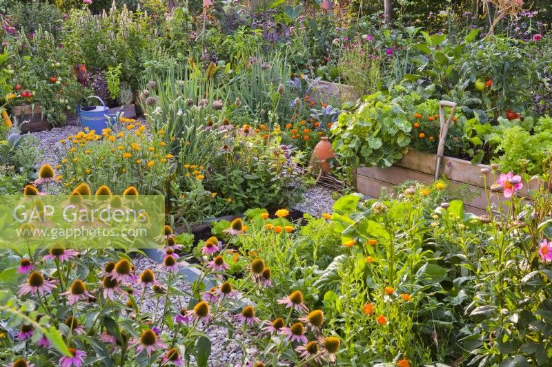 Kitchen garden with raised beds. Beside vegetables and herbs many annual and perennial flowers attract beneficial wildlife.
